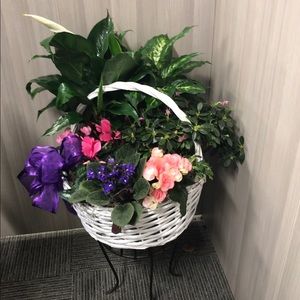 Meet your Posher, Biak